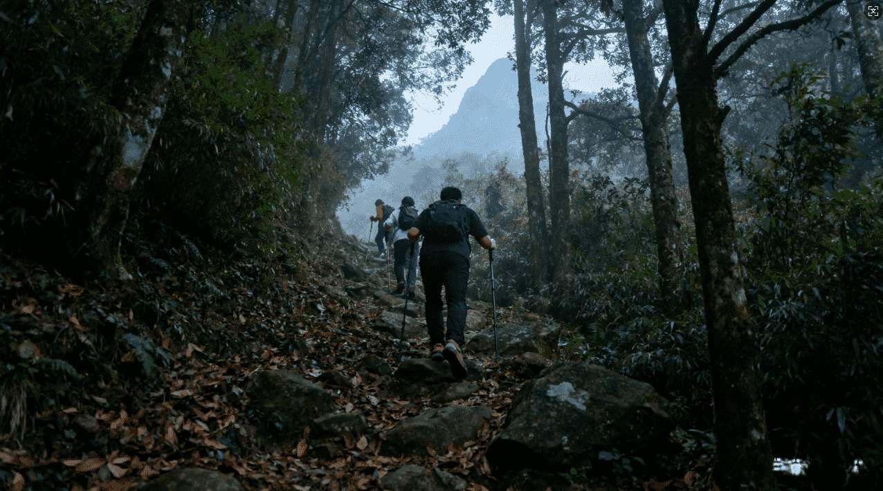 获取旋风加速器分享码图片的方法介绍